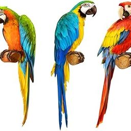 Rangoli Vinyl Modern Wall Sticker (1.96 X 20.86 X 1.96 Inches, Multicolour),-image-4