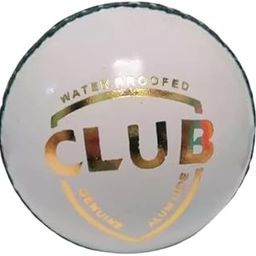 HTM Cricket Leather Ball - Pack of 1-image-72
