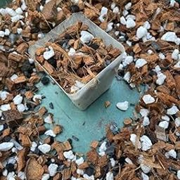 ANTHOM Premium Orchid Potting Mix, 2L Professional Soil Blend with Bark, Perlite and Charcoal for All Type of Orchid Plants(900 gm)-image-83