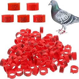 Qpets® Bird Leg Rings-Numbered, 100 Pcs Bird Rings for Leg Identification Leg Bands Pigeon, Poultry Bird Shoulder Guard Foot Rings for Bantam Finch Dove Pigeons Lovebird Coturnix Quail-24