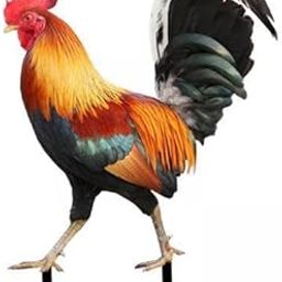 2xRooster Statue Garden Stake Metal Realistic Yard Art for Patio Floor Outdoor 21.2x16.7x0.1cm-image-30