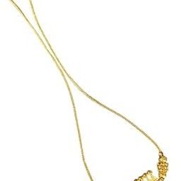 Hithara Golden Coin Charm: Traditional Golden Necklace-image-53