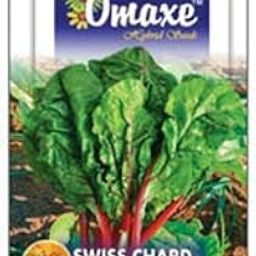 Swiss chard Imported Red Exotic Seeds - Pack of 2 Kitchen garden seeds Packet sold by Kitchen Garden Hub-image-6