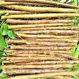 neem sticks-picture-22
