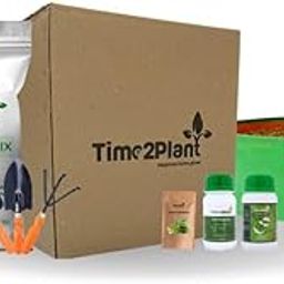 Spinach Grow Kit | DIY Vegetable Grow Kit | Eco-Friendly Plant | Home Farming & Gardening Kit-image-23