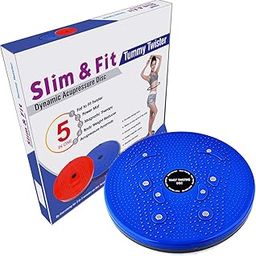 NEKKO Tummy Twister With Magnets Reflexology, 6 Months Manufacturer Warranty, Slimming Abdominal 5 in 1 Tummy Twister Abb Exerciser (2 In 1)-47