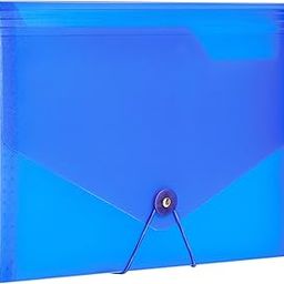 Amazon Brand - Solimo Expanding File, 13 Pockets - (Blue)-13