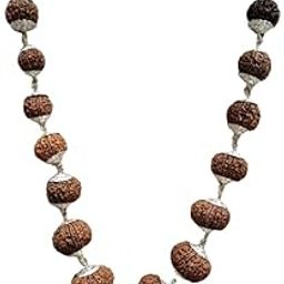 Rare Gems Gallery 1 To 21 Mukhi Nepali Rudraksha Premium Indrani Mala Original Certified Ek Se Ikkees Mukhi Rudraksha Mala Gowri Shankar Ganesh Rudraksh Ruthratcham Malai For Women शाही इन्द्राणी माला-12