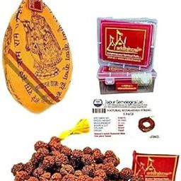 Brown 5 Mukhi Rudraksha Mala/Rosary Lab Certified (10 mm) with Premium Gomukhi Japa Bag-picture-12