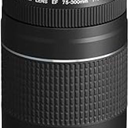 Canon Eos Ef 75-300Mm F/4-5.6 Ii Telephoto Zoom Lens For Dslr Camera - Black-picture-24