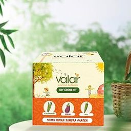 The Gift a South Indian Sambar Garden Kit | Organic, Non-GMO Seeds | Grow Authentic Sambar Veggies at Home!-image-46
