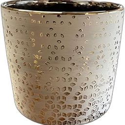 FOX & FERN Premium Ceramic Planter for Vibrant Garden | Enhance The Ambiance of Your Home, Office or Garden (GA133B-024-GS)-image-72