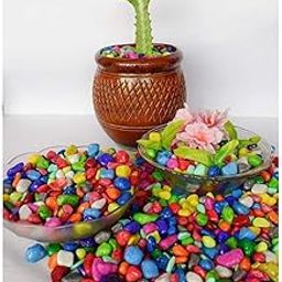 1st Time Décor Pebbles/Stone for Home Decoration, Pots, Garden, Showcase, Plant Vase, Multicolor, WT. 450 gm- S4-image-25