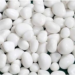 Foodie Puppies Polished White Pebbles Glossy Stones - 2Kg (2.5cm - 4cm) | for Home Decorative, Vase Fillers, Aquarium Fish Tank, Garden River Rock Unplanted Substrate-8