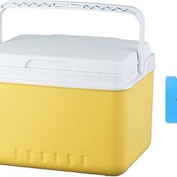 ATORSE Insulated Cooler Hard Bucket with Handle Organizer for Picnic Beach Barbecue 5L|Home & Garden|Yard, Garden & Outdoor Living|Outdoor Cooking & Eating|Ice Chests & Coolers-image-34
