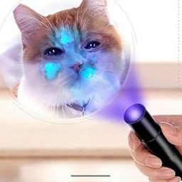 Riveira UV 365nm Fungus Test Lamp, Handheld Cat Ringworm Detector, Ultraviolet Flashlight for Fluorescent Detection (Random Color)-11