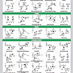 QuickFit Barbell Workout Exercise Poster - (Laminated, 18" x 27")-image-27