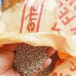 ओबराय - BAJRA Birds Feed 3kg Bajra Seeds for Pigeon,Dove,Small Birds (Pack of 3000GRAMS)-image-32