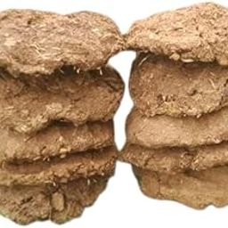 Natural Dried Cow Dung Cakes for Traditional Fuel, Pack of 10-image-32