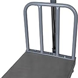 WENSAR Platform Balance - PFB300-300kg / 20g-picture-26