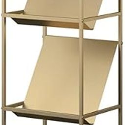 INDIDECOR 25025 Classic 2-Tier Vinyl Record Storage Rack, Vinyl Record Shelf, LP Storage Shelf, Record Holder for Albums, Large Capacity Vinyl Record Display Stand - Golden-image-99