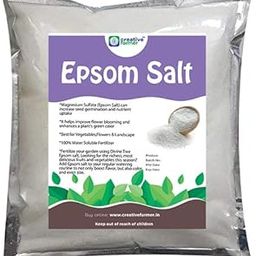 Creative Farmer Epsom Salt 1Kg Pure Organic - Magnesium Sulphate Plant Food Soil Manure-image-69