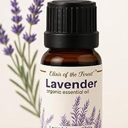 Elixir of the Forest Lavender Essential Oil for Healthy Hair & Growth, Skin, Hair Fall Control and Relaxing Sleep| Lavandula Angustifolia | Organic 100% Pure, Natural, Undiluted | 10ml-15