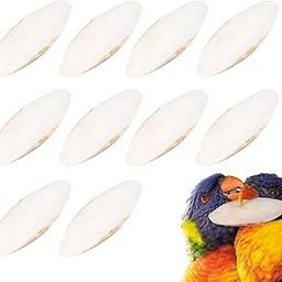 MS PET HOUSE Cuttlefish Bone for Birds, 100g, 3-5 inch, Treats for Parakeets, Lovebirds, Budgies, Conures, Parrots, Cockatiels, Canaries, Finches, Amazons, Cockatoos, Macaws for All Life Stages-image-6