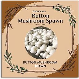 White Button Mushroom Spawn, 200g - Fresh White Mycelium for Growing Edible Mushrooms Indoors, Home Gardening or Commercial Use - High Yield Spores Grain Based Seeds for Mushroom Cultivation-5
