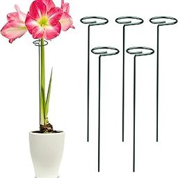 Kerqoor 16 Inch Super Long and Strong Trellis, Plant Support, Plant Suporters for Climbing Vines and Plants, Rust Resistance, Strong Metal, Gree (Pack of 5)-image-7