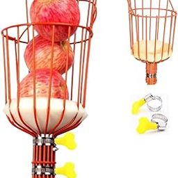 ecofynd Fruit Picker Tool with Adjustable Pole Fixing Clamp, Metal Gardening Easy and Safe Fruit Picking from Trees, Lightweight & Durable Basket Design for Outdoor Garden/Farm (Orange)-picture-15