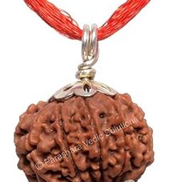ARKAM Ten Mukhi Rudraksha Certified/Original Nepali 10 Mukhi Rudraksh/Natural 10 Faced Rudraksha with Silver Pendant (Brown) with Certificate and Puja Instructions-image-25