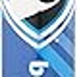 SG Cricket Bat HP Blitz-picture-20