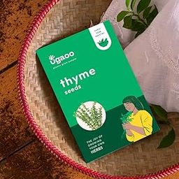 UGAOO Thyme Herb Seeds (Green, Pack of 800)-image-83