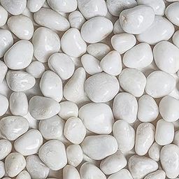 GARDENBASICS Polished White Pebbles/Pebble/Natural Decorative River Water Rocks/Stones for Garden, Gardening, Landscaping, Home Decoration, Vase Fillers, Rock Art, & Potted Plants (1 Kgs)-image-85