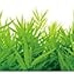 XAVRY Green Grass Wall Stickers PVC Floor Stickers Decorative Living Room Porch Bathroom Window Glass Door Couple Bedroom Kids Room Decor Art Mural DIY-image-75