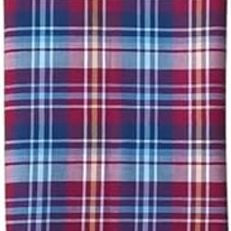 UNSTITCHED CHECK FABRIC for Men's Shirt Long Kurta & Women's Top kurti Width -56 inch Length -1.70 meter,FREE_SIZE,FAST COLORS,RED BLUE 1.70-picture-13