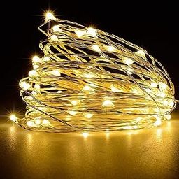 fizzytech 3 Meter 30 Led Fairy String Lights Battery Powered Copper Wire Lights of Home Decoration,Diwali Lighting Festival Rice Fairy Lights, Warm White,3 Meters-24