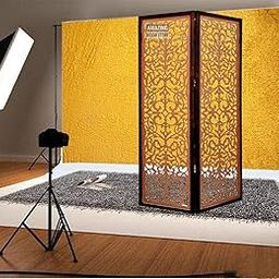 Amazing Wood Store Wooden Decorative 2 Panel Partition Screen Room Separator Wooden Partition for Living Room-image-45