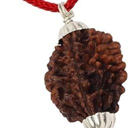 AARISH SAYA 2 Mukhi Rudraksha, Two Mukhi Kaju BEAD Certified/Original, Natural 2 Faced Rudraksha (Brown) AAA++ Quality with Certificate for Men & Women. 149-picture-18