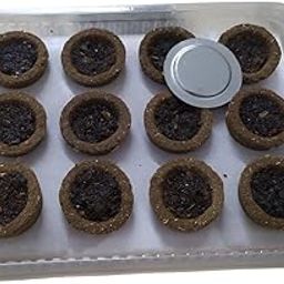 Pure Cow Dung Sambrani Dhoop Cup (24 Pcs) Guggal/Loban Havan Cup for Worship, Havan, Puja, Meditation & Spritiual Purpose Organic Sambrani (Pack of 24Cups)-image-59