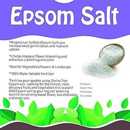 Creative Farmer Epsom Salt 1Kg Salt, White-34