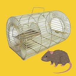 GrowHive Humane Iron Rat Trap Cage - No-Kill Rodent House for Live Capture - Catch & Release Pest Control Solution for All Rat Types (30.5 x 17.5 x 20 cm)-image-44