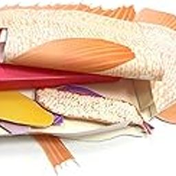 NewPath Atlantic Perch Fish Dissection 3-D Model Making Kit - Individual Student Edition (17-7747)-image-16