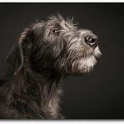 APSRA Computer Mouse Mat - Irish Wolfhound Dog Breed Office Gift #12573-picture-12