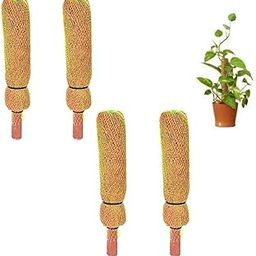 Cloudx Coir Coco Coir Pole 1 Feet (4 Piece) Moss & Coir Stick for Money Plant Support, Climbing Indoor Plants, House Plants & Plant Creepers Support Moss Stick-image-92