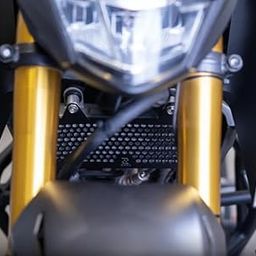 RADIATOR GUARD HONEYCOMB BLACK-image-89