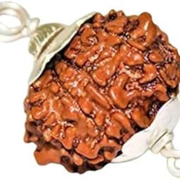 8 Mukhi Rudraksha Original Certified Nepali Bead Aath Mukhi Rudraksha 8 मुखी रुद्राक्ष 8 Face Rudraksha with Silver Capping Eight Mukhi Rudraksha Pendant Blessed Ganesh 8 Mukhi Rudraksha-picture-45