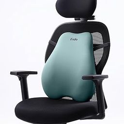 Frido Cloud Backrest Cushion | High-Density Memory Foam | Premium Lumbar Support for Chairs | Durable Back Pillow for Office Chair & Home Use | Breathable & Machine-Washable Cover (Lilly Pad)-image-17