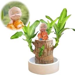 1pc Brazilian Wood Decor, 2024 New Mini Brazil Lucky Wood, Brazilian Lucky Wood Purify Indoor Air, Brazilian Lucky Bamboo Wood Desk Hydroponic Potted for Home Office Desktop Decoration (D)-24